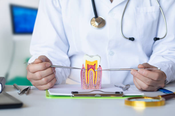 Best Broken or Cracked Tooth Emergency Dentist in Crystal Lawns, IL